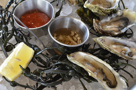 oysters at Osteria Stellina
