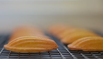 Madeleines out of the oven