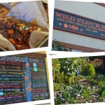 Wildflour_bakery_freestone