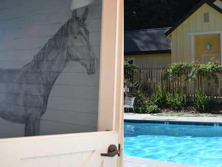 pool_horse