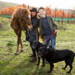 Morgan horse and her family