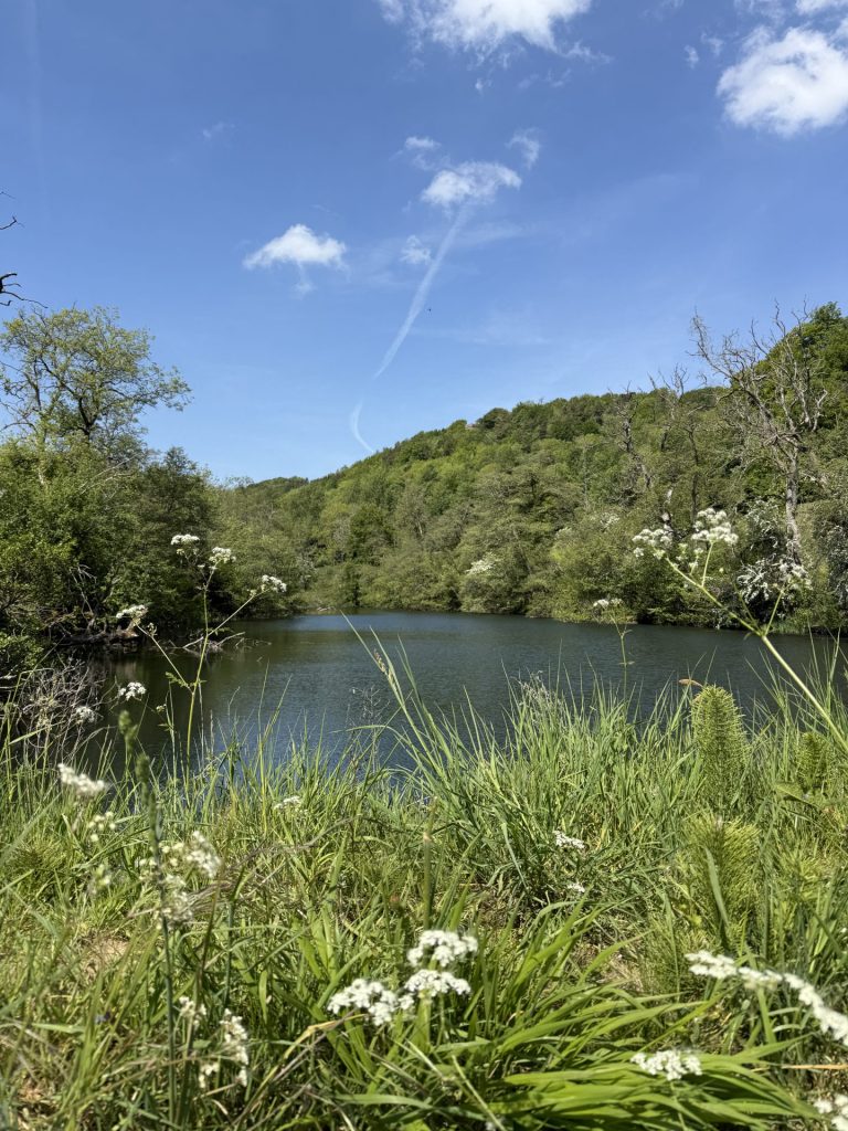 The Lake at Woodchester Mansion