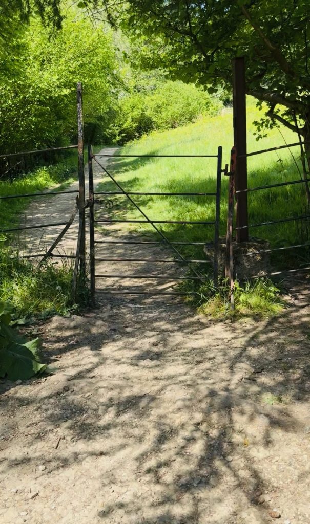 Woodchester Mansion Grounds